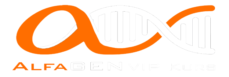 Alfagen Kurs